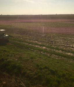Railroad prairies are a natural resource.